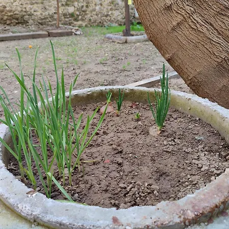Проживание в семье Sefin Villasi *